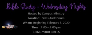 Bible Study Wednesdays